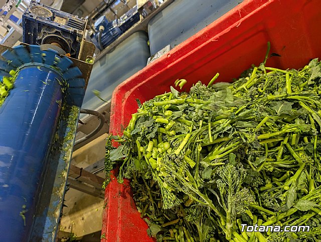 Bimi® celebra en Totana su BBQ Day: de la semilla al fuego, el viaje que realza su esencia