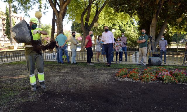Más de 39 millones de semillas reverdecerán las praderas de césped del municipio gracias al Plan Resiembra