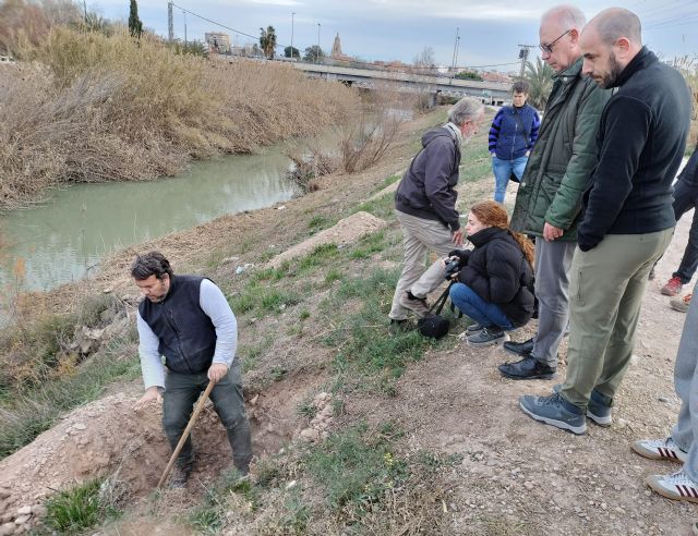 Plantan un bosque de ribera con un centenar de árboles para impulsar el entorno natural del río Segura y proteger la biodiversidad