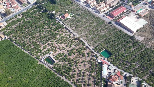 El helicóptero detecta 80 focos de mosquitos tigre en el municipio