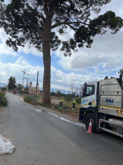 Un nuevo riego de emergencia aporta cerca de 14.000 litros de agua a los pinos centenarios de Churra