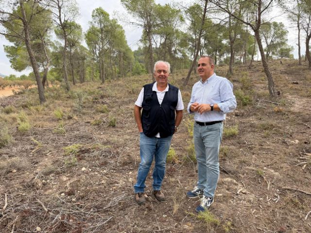 Un proyecto del Gobierno regional de aprovechamiento de la biomasa forestal genera empleo para combatir la despoblación