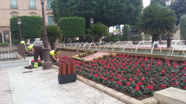 Más de 10.000 ciclámenes inundan de color la Glorieta de España y la Plaza Condestable