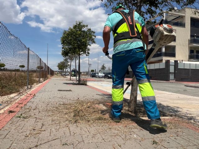 Murcia completa más de 130 jornadas de desbroce en mayo y alcanza una veintena de pedanías con su plan especial de limpieza