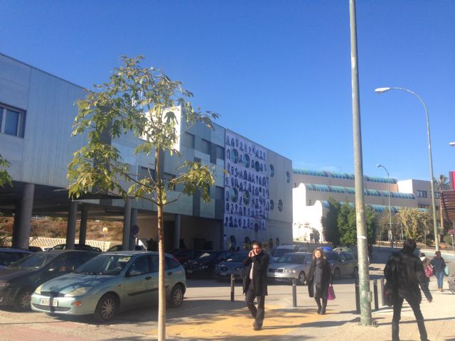 Un grupo de estudiantes monta una instalación fotográfica en la fachada de la Facultad de Educación