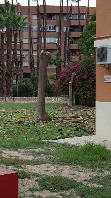 Cambiemos Murcia pide explicaciones sobre la tala de siete árboles en la estación de tren