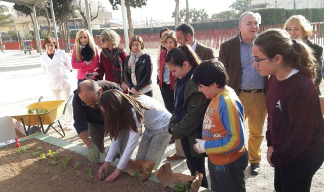 Nuevo huerto ecológico escolar en el colegio Virgen de la Vega de Murcia