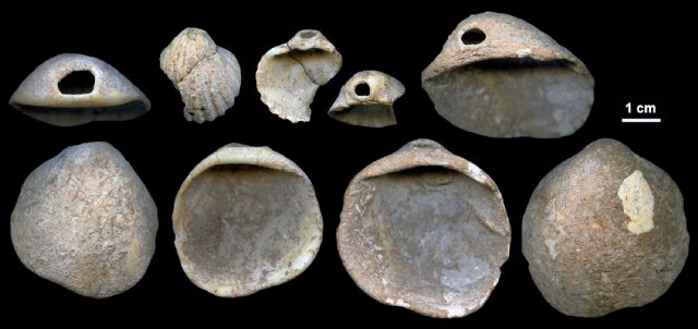 Una investigación publicada en Science Advances atribuye a los neandertales el uso de adornos corporales en conchas