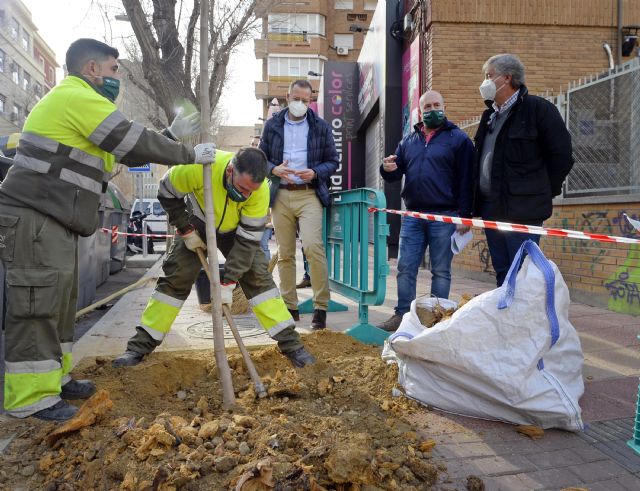 El Ayuntamiento de Murcia está plantando más de 11.000 árboles gracias al Plan Foresta y a la campaña de reposición de arbolado