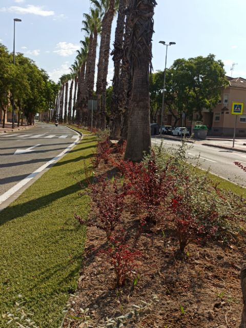 El Ayuntamiento aumenta la biodiversidad urbana y mejora la calidad ambiental gracias al Plan de Mejoras en Medianas y Rotondas