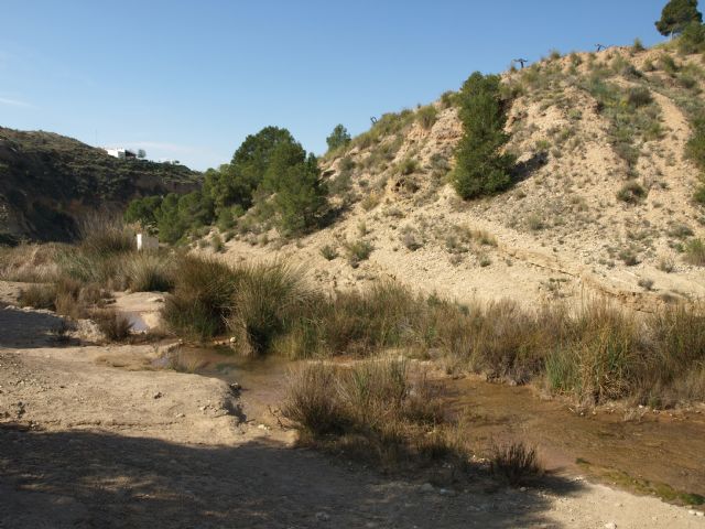 El río Chícamo, un pequeño afluente árido que esconde una gran biodiversidad
