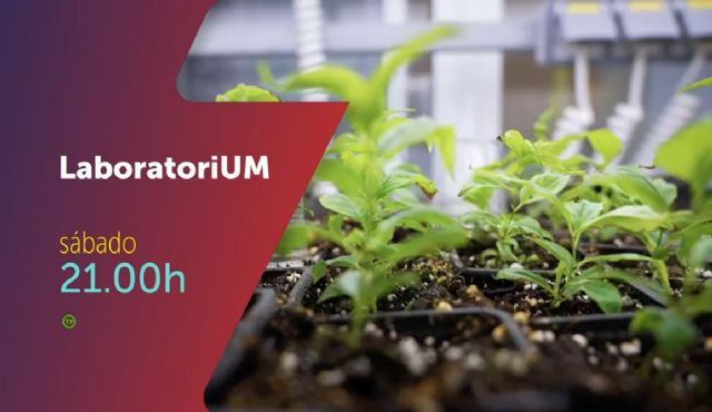La UMU lanza la segunda temporada del programa LaboratoriUM