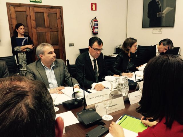 El Ayuntamiento de Murcia se incorpora a las comisiones de Bienestar Social y de Relaciones Internacionales de la FEMP