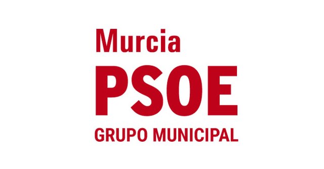 El PSOE presenta una moción para acabar con las deficiencias históricas de El Palmar