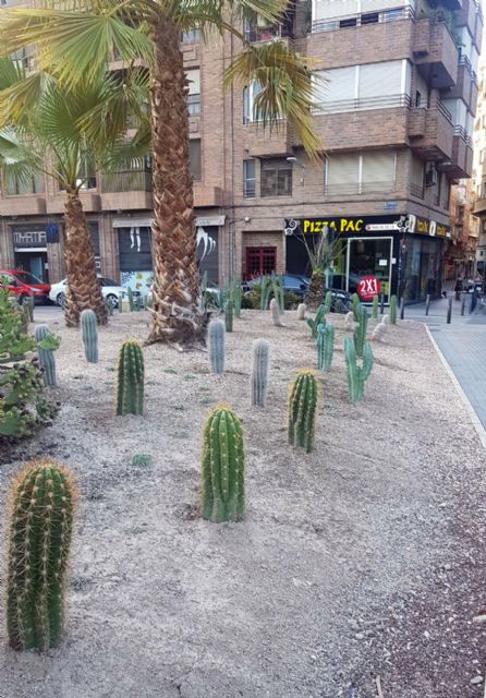 Parques y Jardines cultiva las más de 60 variedades de cactus repartidas por el municipio