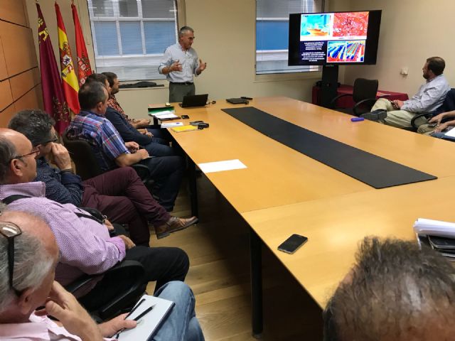 Técnicos municipales participan en un seminario sobre la importancia del arbolado urbano en las ciudades de mano del experto arborista Gerard Passola